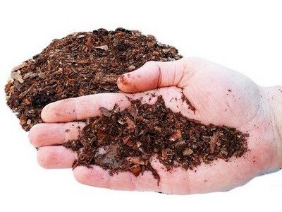 Кора сосны гумус 1 см