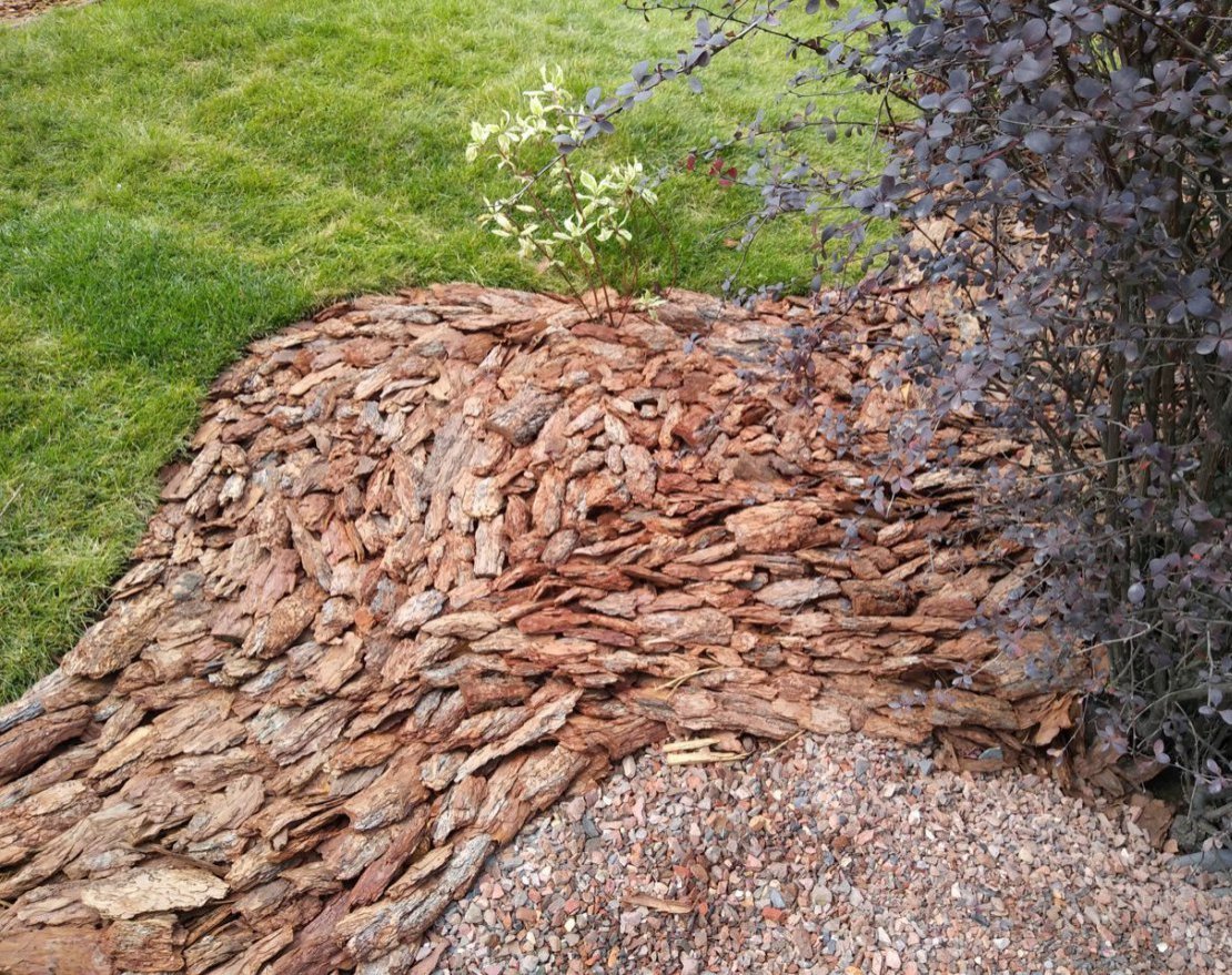 Кора сибирской лиственницы средняя 2-5 см - вид 2