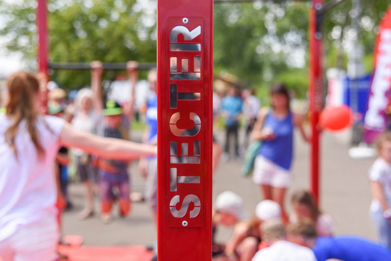 Мобильный комплекс для Воркаут и ГТО Стандарт-11 - вид 2