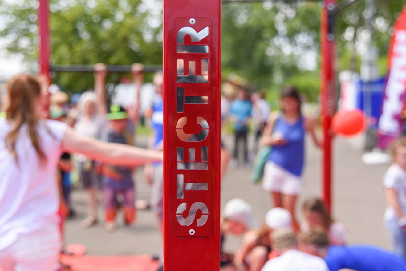 Мобильный комплекс для Воркаут и ГТО Стандарт-2 - вид 2