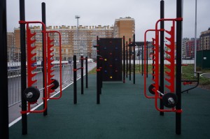 Администрация Заневского г. п., ноябрь 2025, г. п. Заневское - вид 1